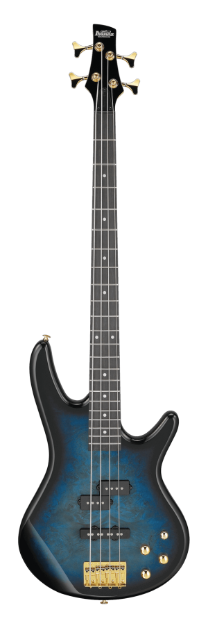 timmerp_region_GSR200PC_TMU_4H_01